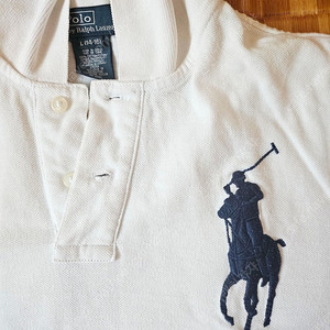 폴로 빅포니 카라반팔티