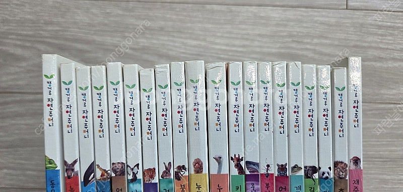 훈민출판사 캥거루자연주머니 소전집 20권 일괄--2