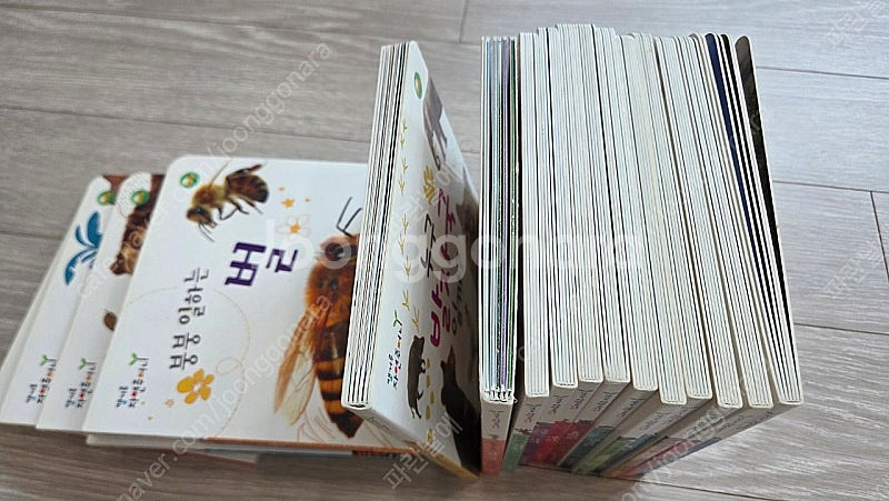 훈민출판사 캥거루자연주머니 소전집 20권 일괄--3