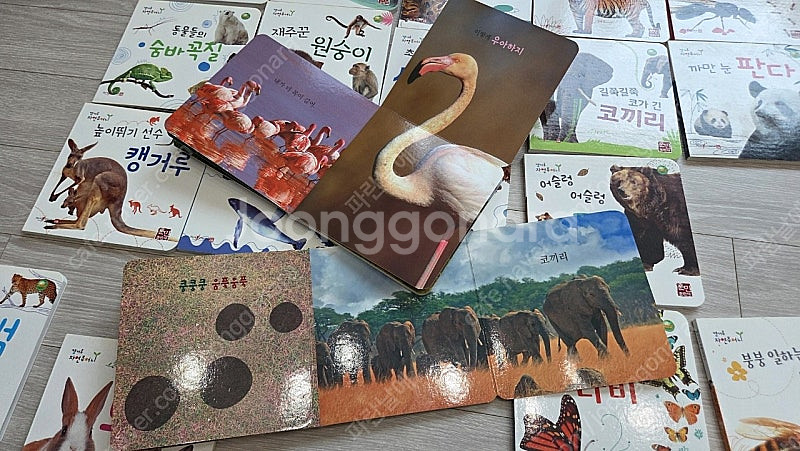 훈민출판사 캥거루자연주머니 소전집 20권 일괄--4