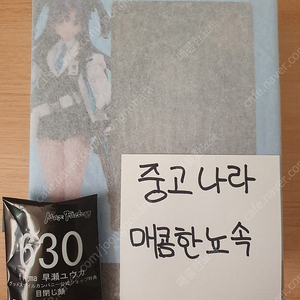 피그마 하야세 유우카