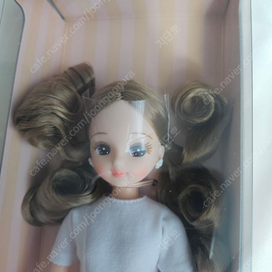 리카캐슬 고베산노미야 아이콘 리카 V6