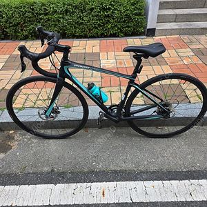 [대전]스페셜라이즈드 루비스포츠 여성 카본로드자전거