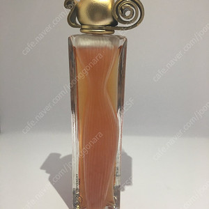 지방시 향수 정리합니다