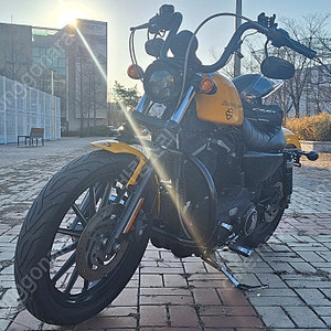 [가격인하][인천 송도] 할리데이비슨 아이언 883/ 2011년/ 24,600km