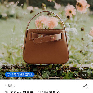 디옵튼 틸트백 테디브라운s