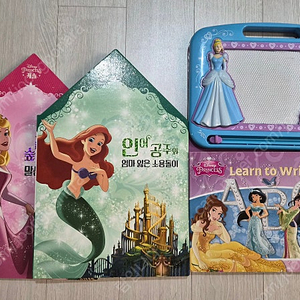 디즈니 프린세스 책