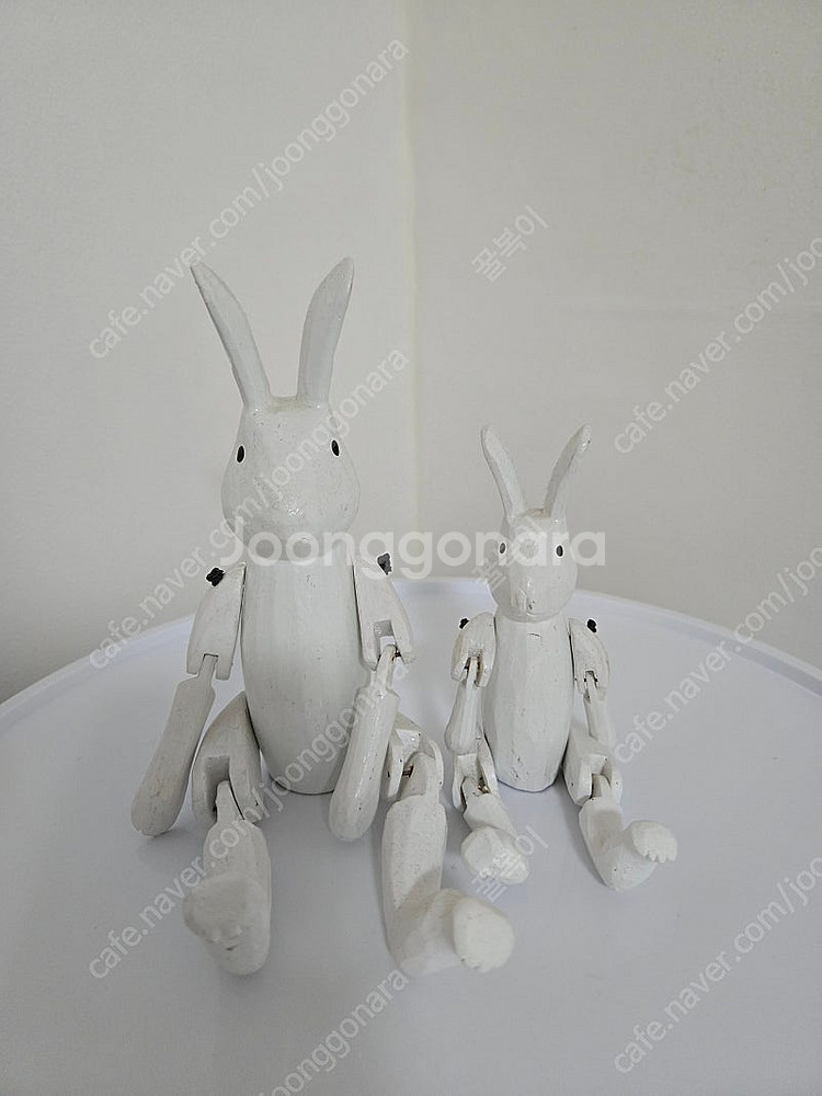 윤식당 토끼--0