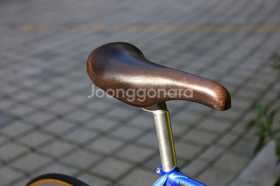 빈티지 팀 첼로 경륜 프레임 트랙 픽시 픽스드기어 54...--5