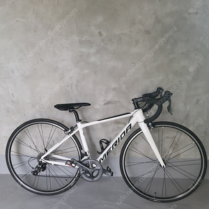 판매완료 메리다 스컬트라100 3xs