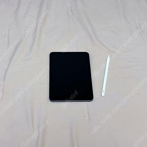 아이패드 미니6 상태최상 (애플펜슬 2세대 포함) iPad OS 16 (개별거래가능) 아이패드 미니 6세대