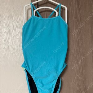 졸린 하와이 블루 개빈 28