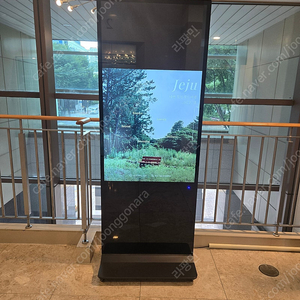 Estla did 모니터 이미지