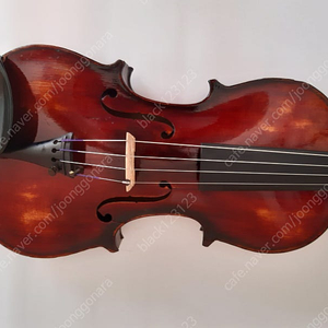 4/4 독일올드바이올린 Hermann Dölling, 1899