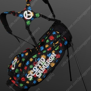 스카티카메론 아가베 패스파인더 스탠드백