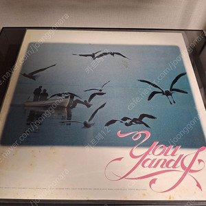 <수입 엘피> 유 앤 아이 You And I LP