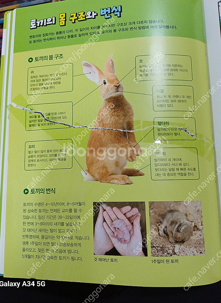 미래엔 브리테니커 만화백과 전50권 8만원 택포--2