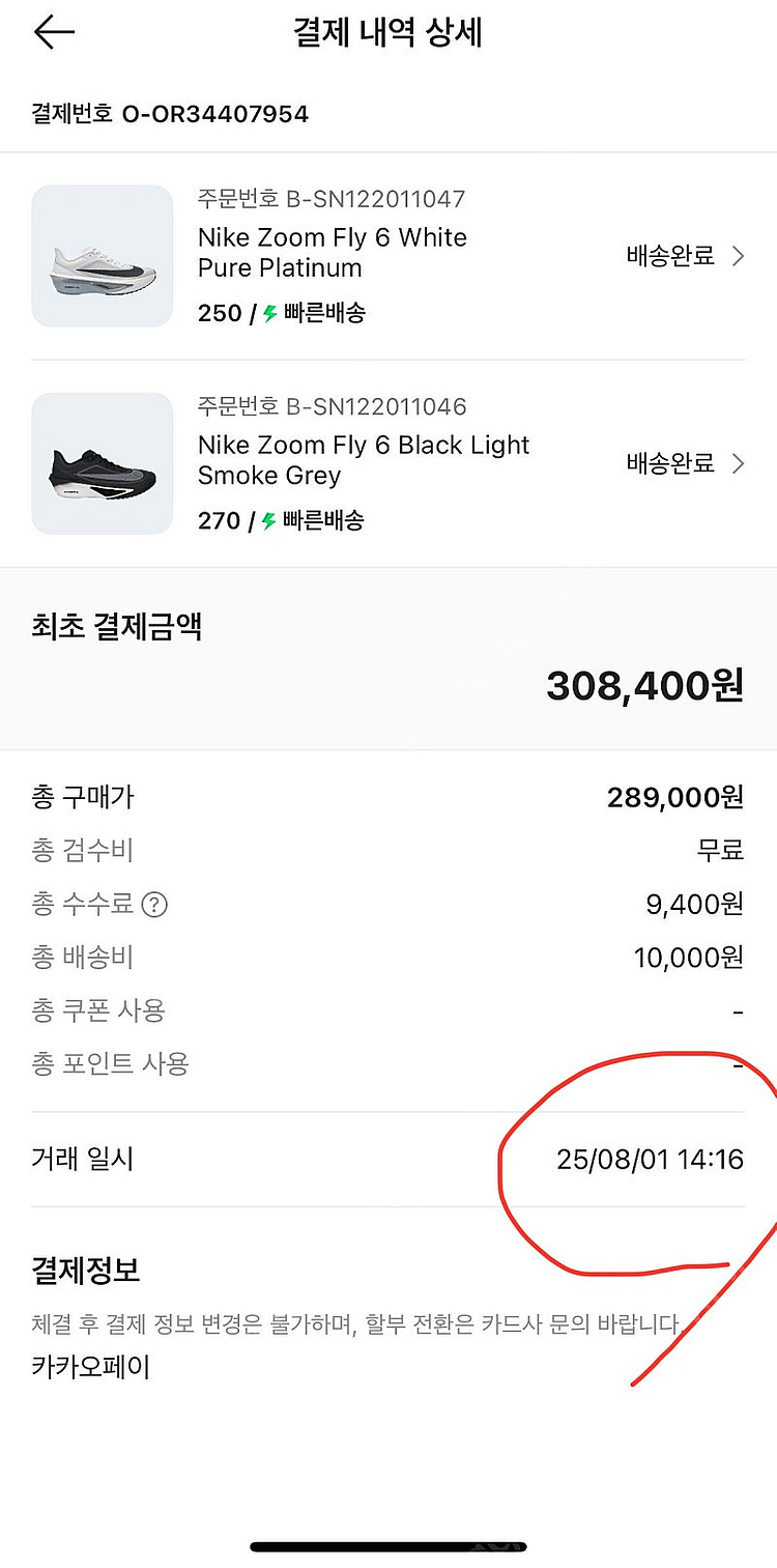 나이키 줌 플라이6 270mm--3