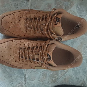 된장포스 290