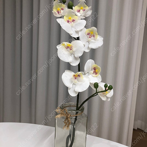 유리 화병, 유리보관함