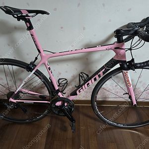 2018 자이언트 TCR 말리아로자 한정판 M 사이즈 판매