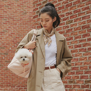 강아지 아르르 포옹백 (새상품)