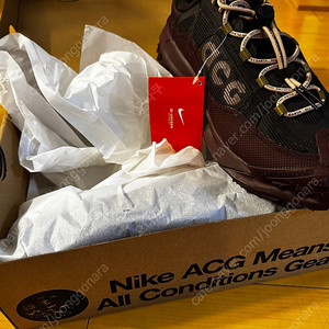 나이키 ACG 마운틴 플라이2 로우 GTX 고어텍스 버건디 280