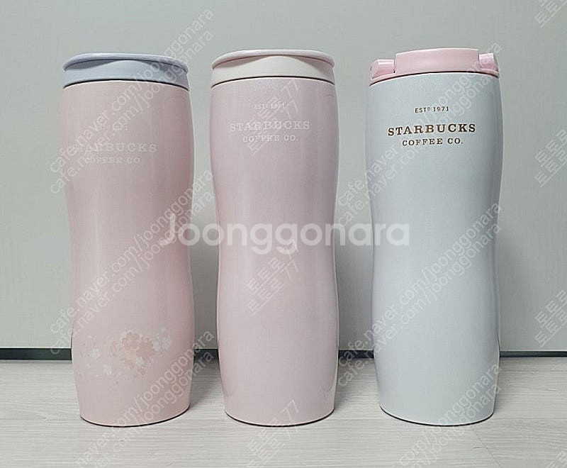 스타벅스 벤티콩코드--0