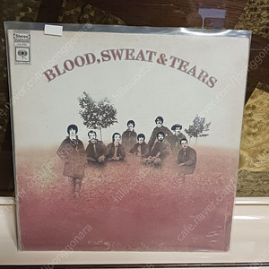 chicago등 14 lp 38000