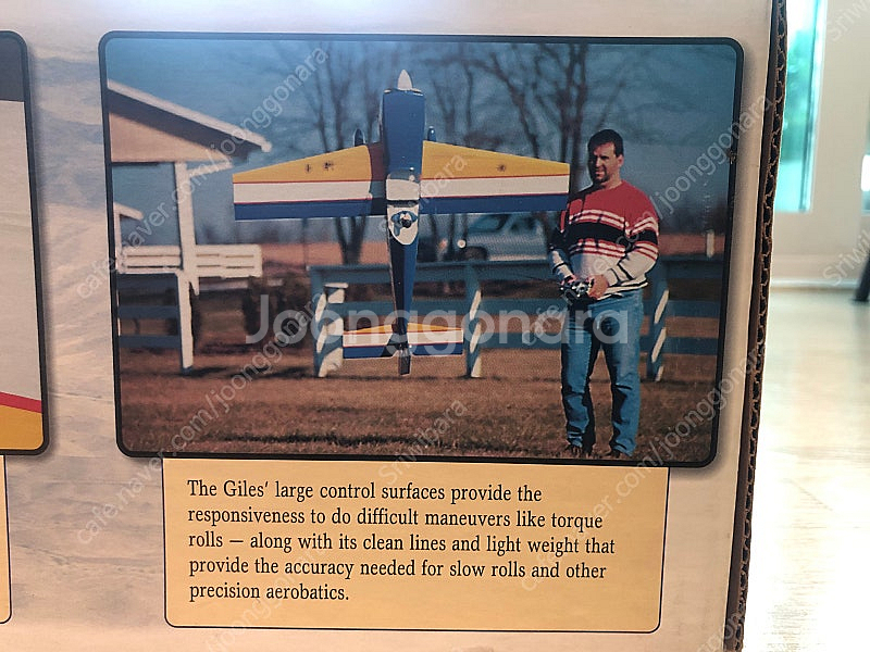 그레이트플레인 자일즈 G-202 비행기 판매합니다.--5