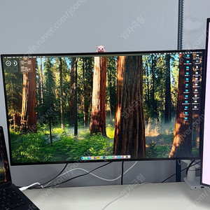 u3219Q 델 4K 32인치 모니터