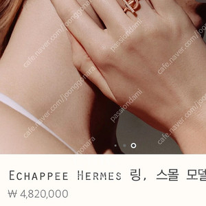 에르메스 에샤페 로즈골드 53호