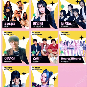 2025 KB 조이올팍 페스티벌 2인 vip 티켓 판매 (토or일)