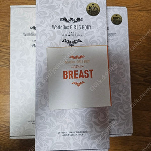 1/6 액션피규어 바디 월드박스 worldbox 몸 소체 피규어