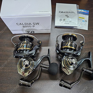 다이와 22칼디아SW 8000PG