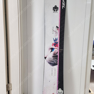 23/24 아벨(avel) 데크 화이트캣 165w 카본 판매