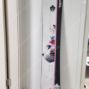 23/24 아벨(AVEL) 데크 화이트캣 165W 카본 판매