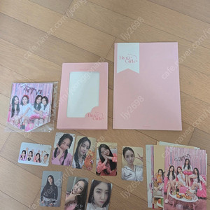 브레이브 걸스 포카 외