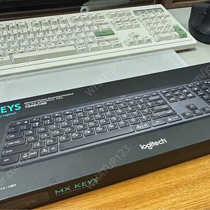로지텍 mx keys 풀사이즈 팝니다 (윈도우)