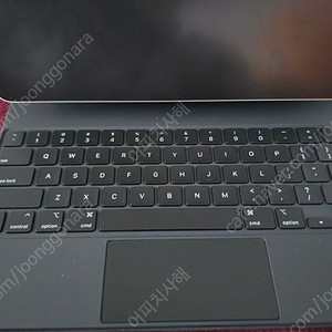 아이패드 프로 11인치 5세대 셀룰러 2t 16g 매직 키보드