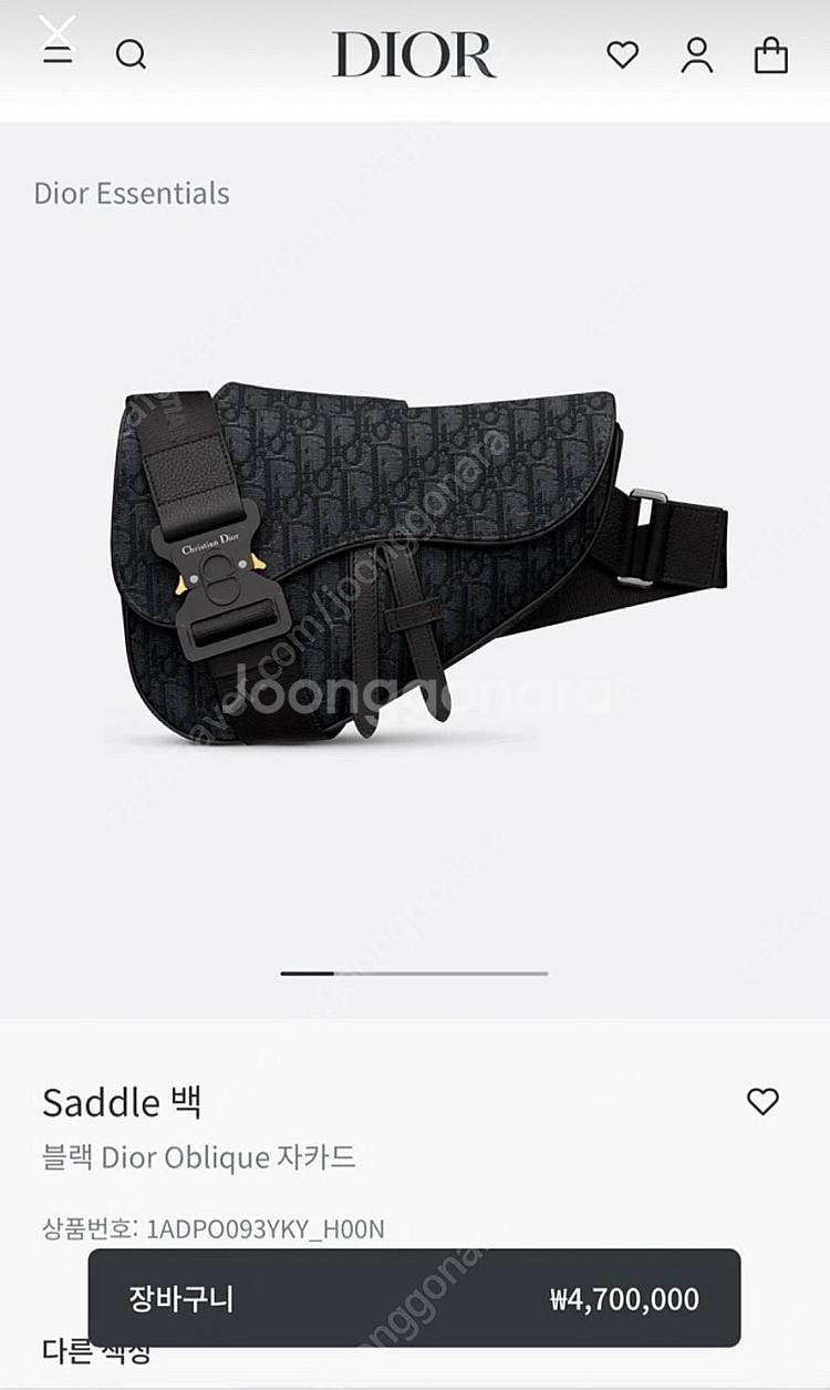 디올 Dior 오블리크 자카드 새들백--0