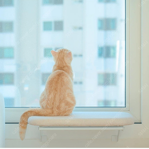 두잇 doit 고양이 창틀 해먹 미개봉