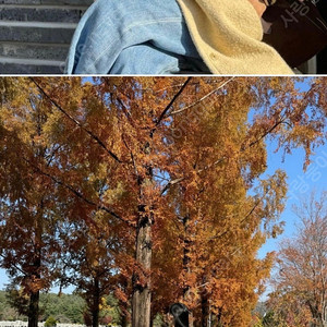 비뮤즈멘션 코트 (옥순코트)