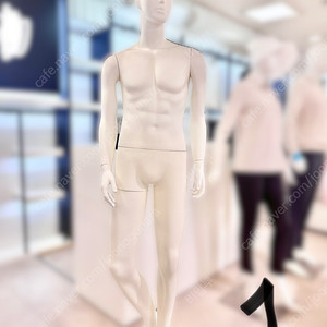 남성 전신 마네킹 마네킨 판매