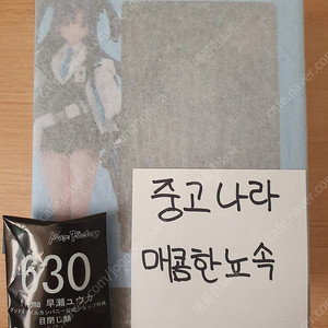 피그마 하야세 유우카