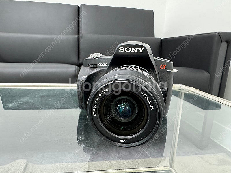 DSLR-A230 카메라 (+SAL1855 렌즈)--0
