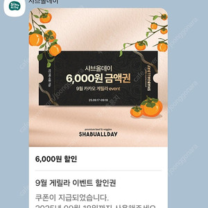 샤브올데이 6천원 할인권 2장, 일괄 2천원