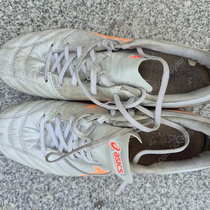 아식스 ds light 255