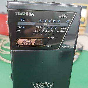 도시바 워크맨 KT-GS30F, 정크