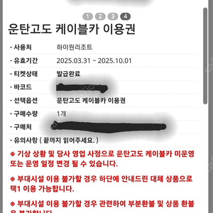 하이원리조트 운탄고도 케이블카4장